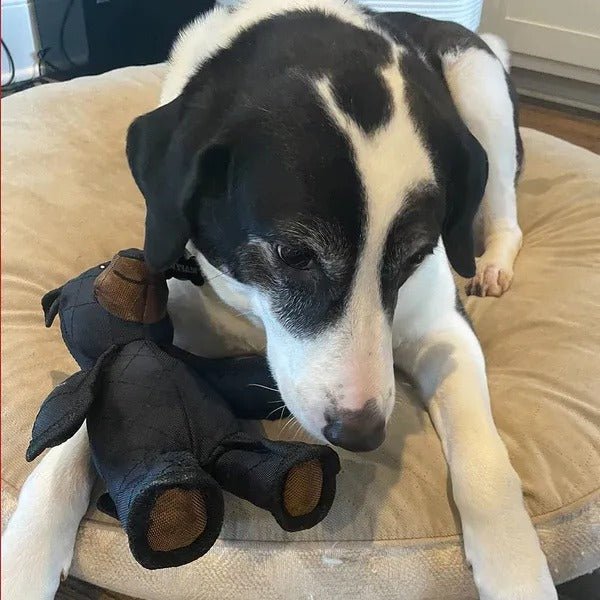 Durable & Interactive Dog Toys for Heavy Chewers - Lexians