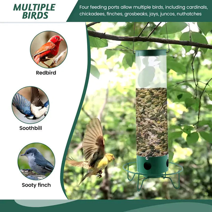 Durable squirrel-proof bird feeder for wild birds. Perfect for garden, outdoor backyard decor & bird watching.