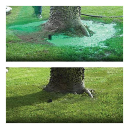 Eco - Friendly Lawn Seed Spray for Flawless Grass Growth - Lexians
