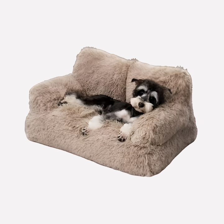 Washable elevated pet bed bench for small cats & dogs. Cozy, non-slip design, ideal as a dog or cat bench.