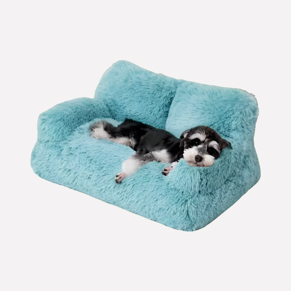 Modern elevated pet bed bench, a cozy and non-slip pet furniture piece for small dogs & cats. Easy to wash.