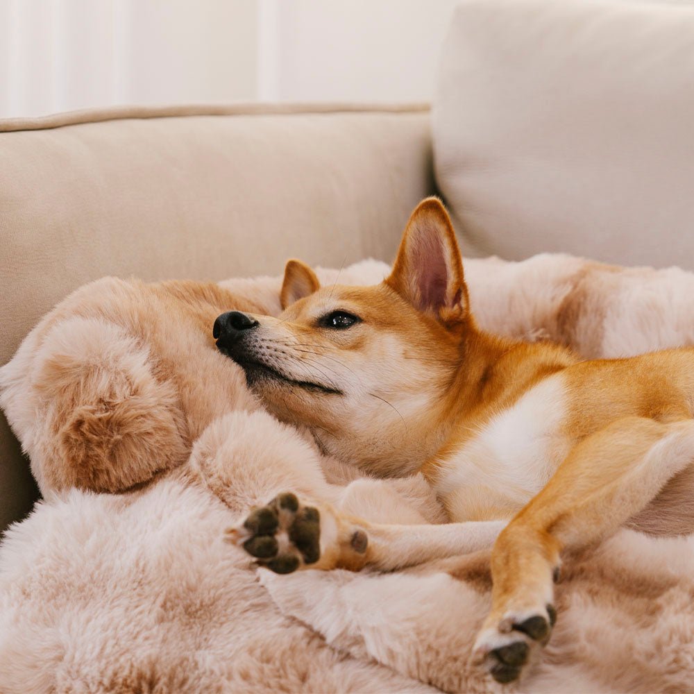 Fluffy Fuzzy Calming Dog Sofa Protector Mat - Lexians