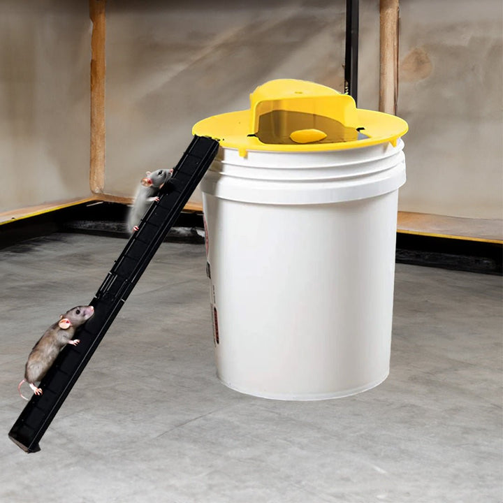 Humane Mouse Trap with Flip & Slide for Reusable Pest Control - Lexians