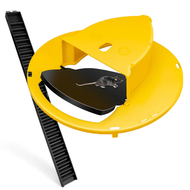 Humane Mouse Trap with Flip & Slide for Reusable Pest Control - Lexians