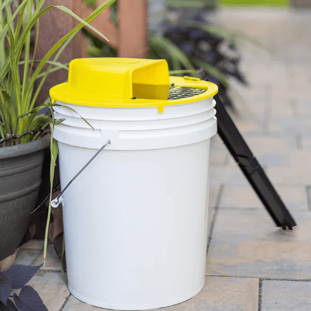 Humane Mouse Trap with Flip & Slide for Reusable Pest Control - Lexians