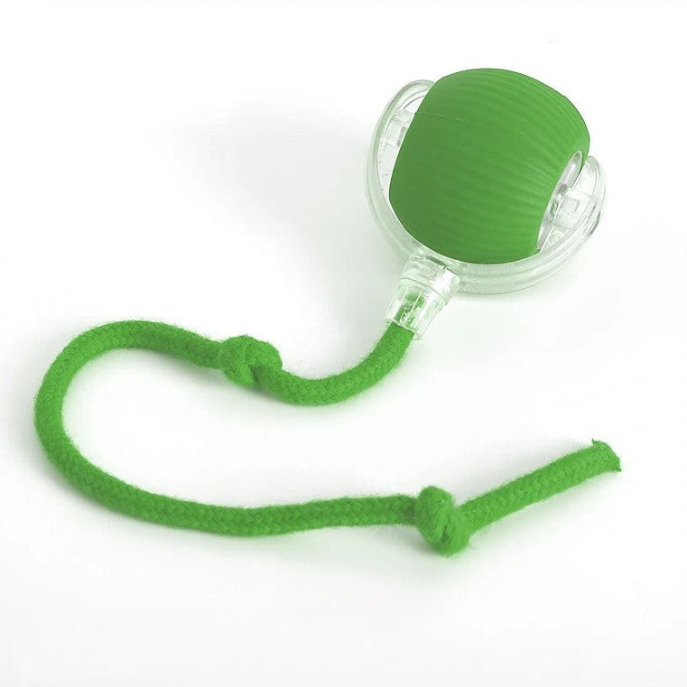 Interactive dog rolling ball with tail; vibrant, durable design; random movement; ideal for playful dog engagement.
