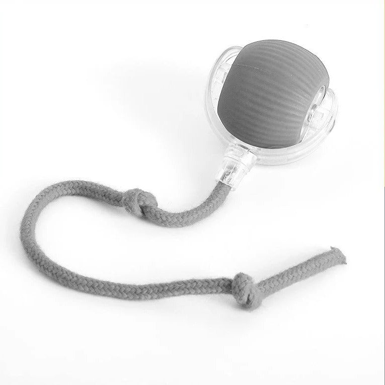 Interactive dog rolling ball with tail; vibrant, durable design; random movement; ideal for playful dog engagement.