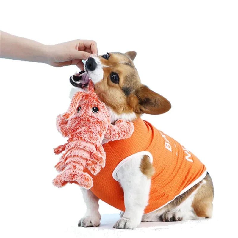 Interactive Floppy Lobster Dog Toy - Durable Plush Chew Toy - Lexians
