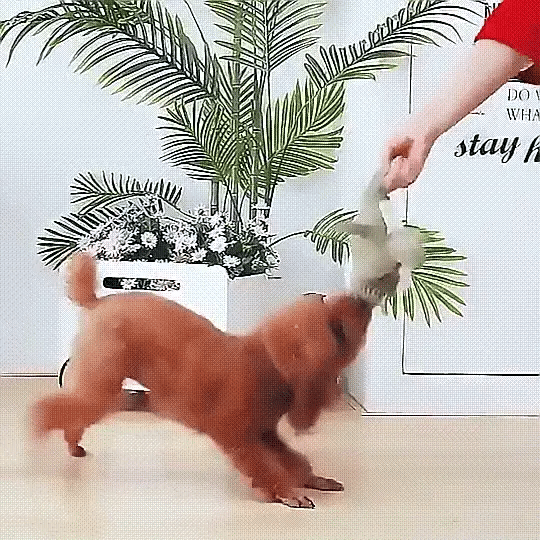 InvinciPups Heavy Duty Chew Toy for Dogs - Durable & Safe - Lexians