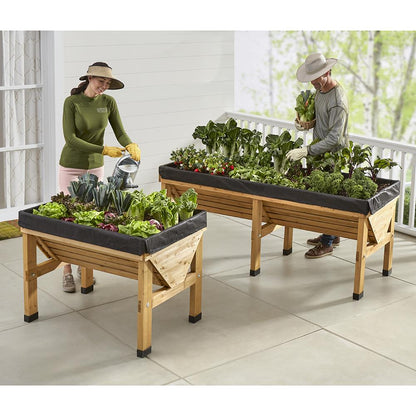 Large Pest Protection Raised Garden Bed for Optimal Growing - Lexians