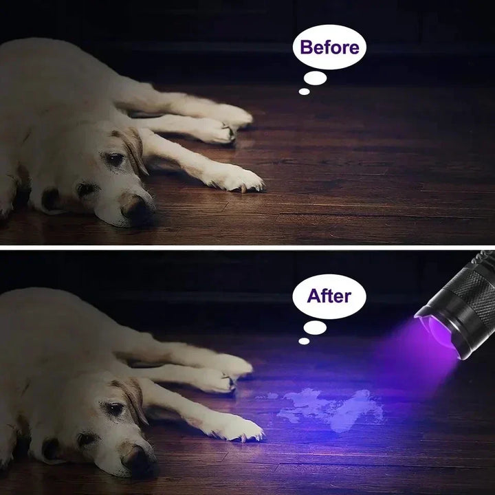 Compact pet urine detector flashlight, a reliable blacklight tool for spotting invisible dog & cat pee stains.