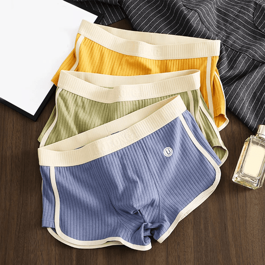 Men's Ultra - Soft Cotton Brief Set with Ribbed Texture - Lexians