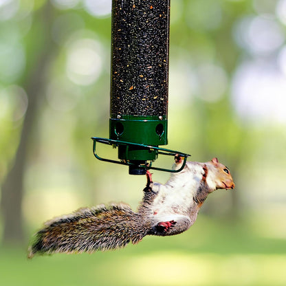 Metal Squirrel Proof Hanging Bird Feeder with Spinning Perch - Lexians