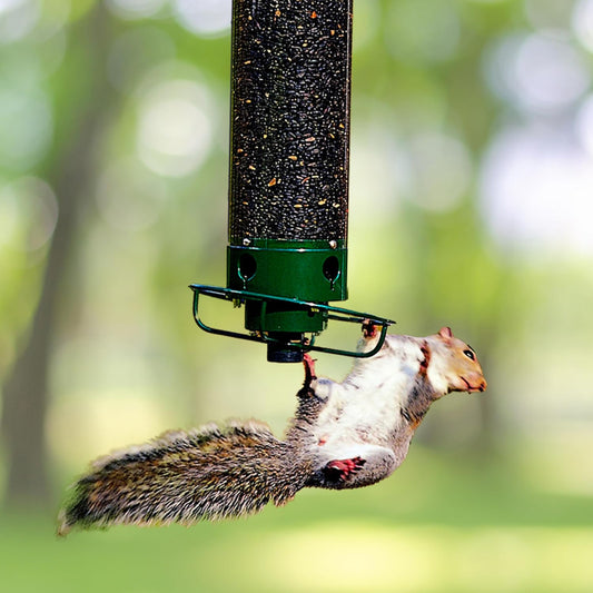 Metal Squirrel Proof Hanging Bird Feeder with Spinning Perch - Lexians