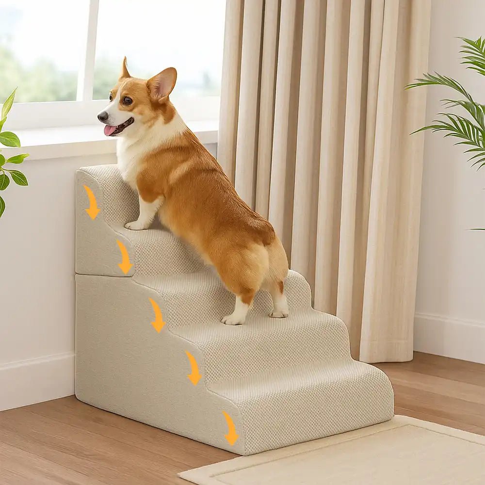 Modular Stackable Foam Ramp Dog Stairs for Small & Senior Dogs - Lexians