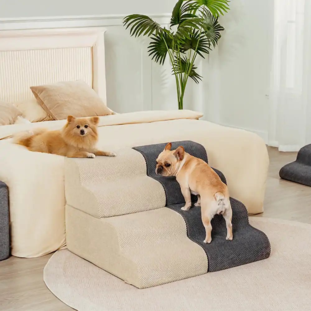 Modular Stackable Foam Ramp Dog Stairs for Small & Senior Dogs - Lexians