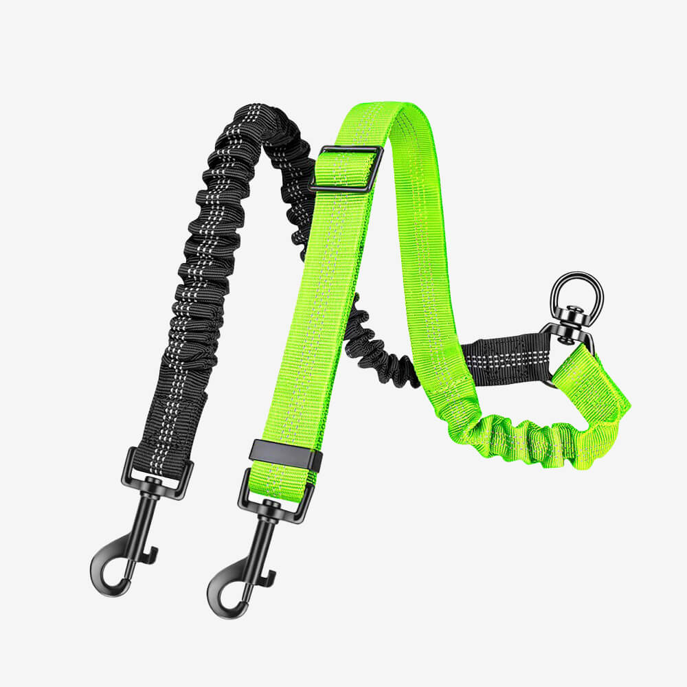 No - Tangle Shock Absorbing Double Lead Dog Leash - Lexians