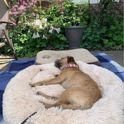 Orthopedic Calming Dog Bed with Memory Foam Support - Lexians