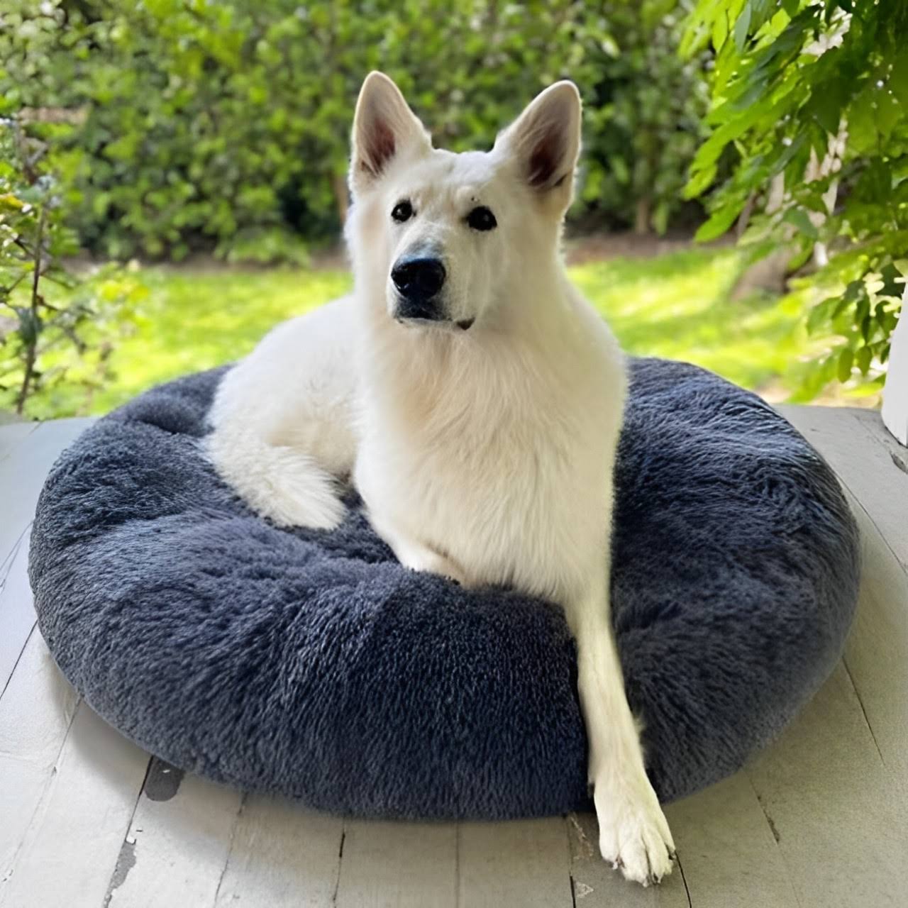 Orthopedic Calming Dog Bed with Memory Foam Support - Lexians