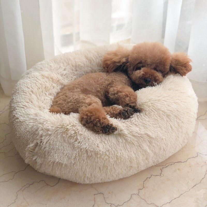 Orthopedic Calming Dog Bed with Memory Foam Support - Lexians