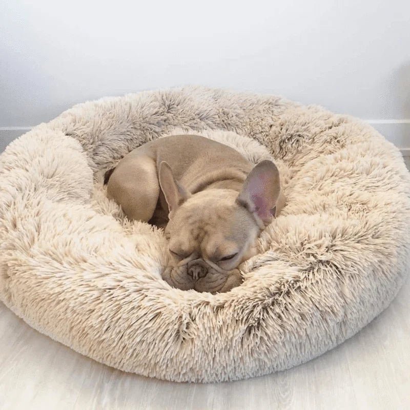 Orthopedic Calming Dog Bed with Memory Foam Support - Lexians