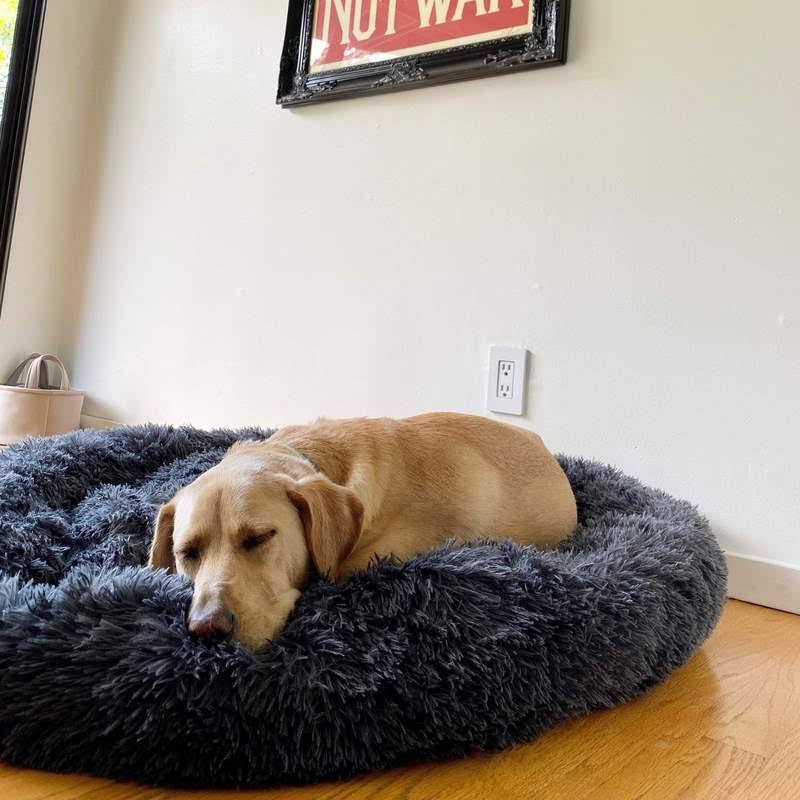 Orthopedic Calming Dog Bed with Memory Foam Support - Lexians