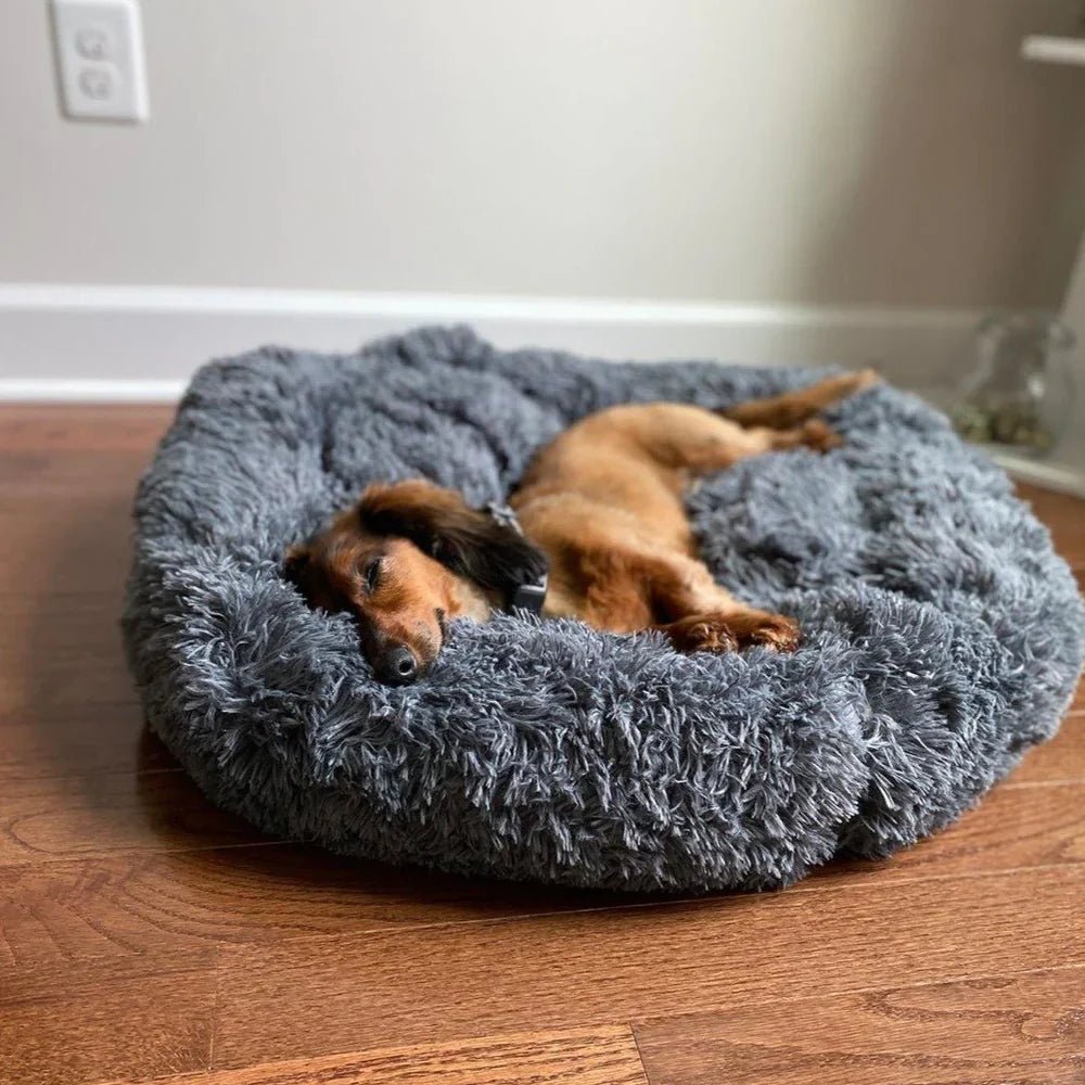 Orthopedic Calming Dog Bed with Memory Foam Support - Lexians