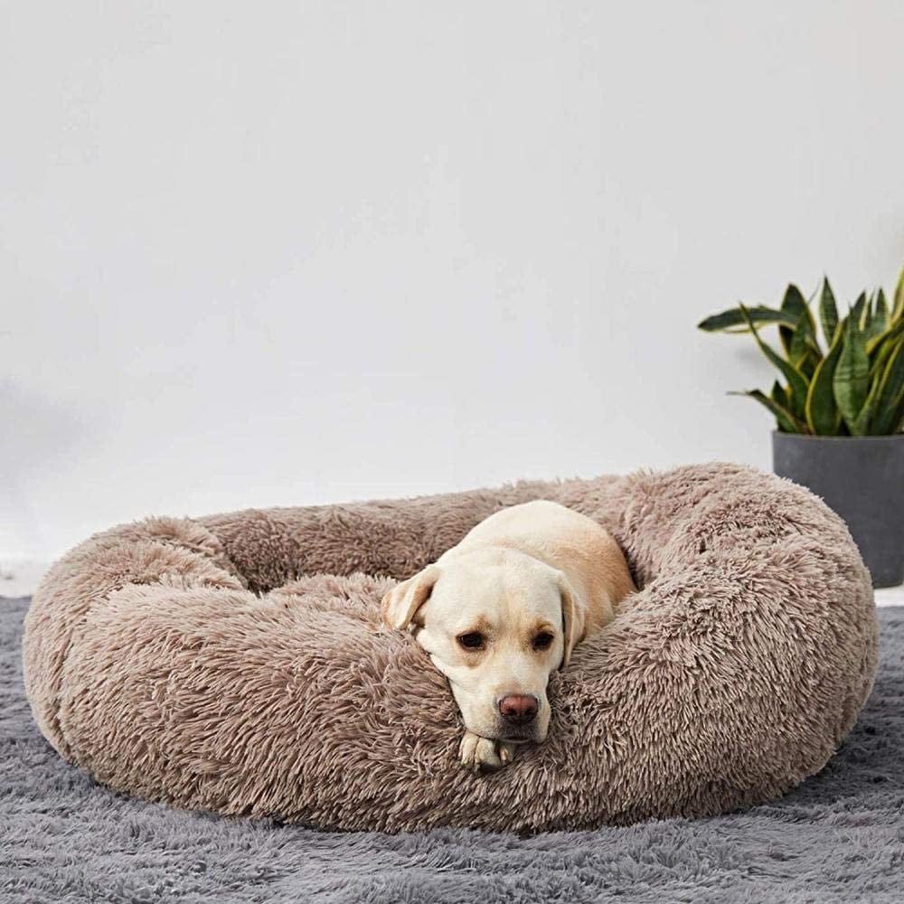 Orthopedic Calming Dog Bed with Memory Foam Support - Lexians