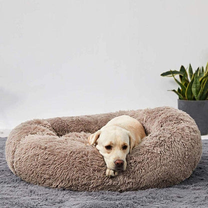 Orthopedic Calming Dog Bed with Memory Foam Support - Lexians