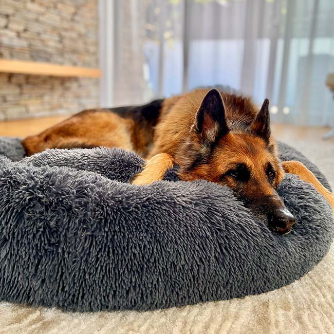 Orthopedic Calming Dog Bed with Memory Foam Support - Lexians