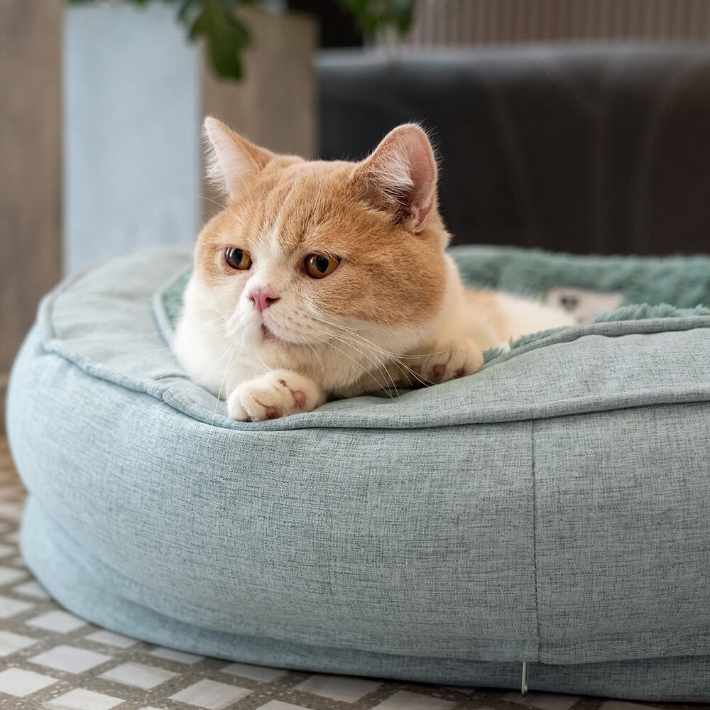 Orthopedic Donut Dog Bed with Anti - Slip and Waterproof Features - Lexians