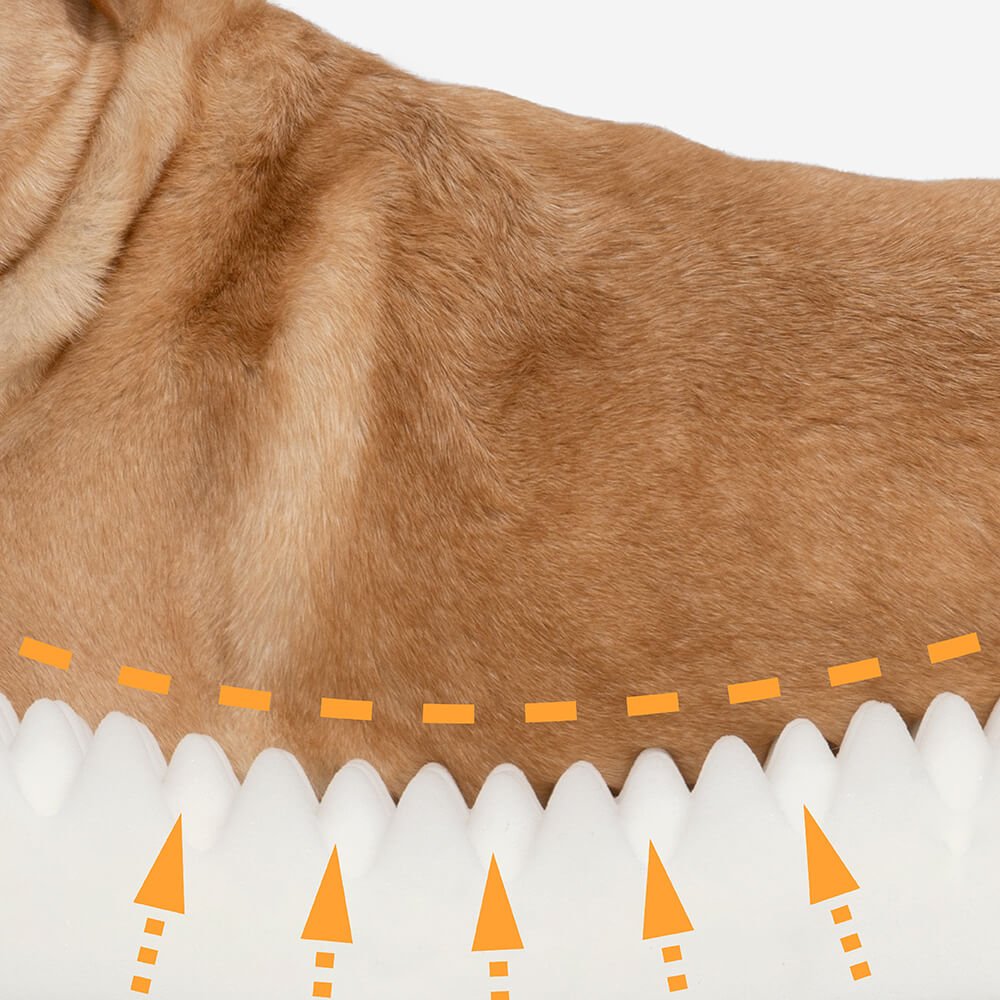Orthopedic Donut Dog Bed with Anti - Slip and Waterproof Features - Lexians