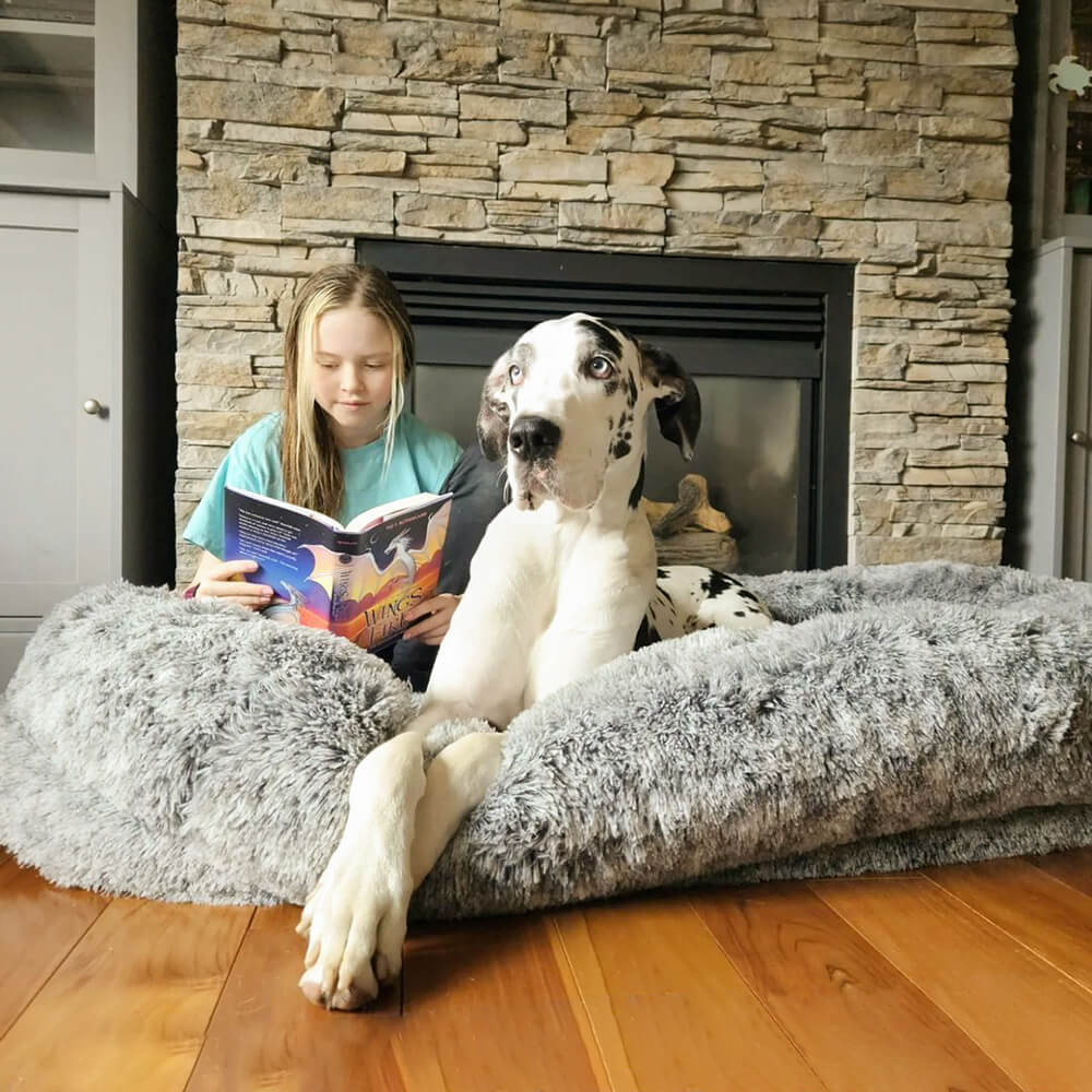Orthopedic Donut Dog Bed with Anti - Slip and Waterproof Features - Lexians