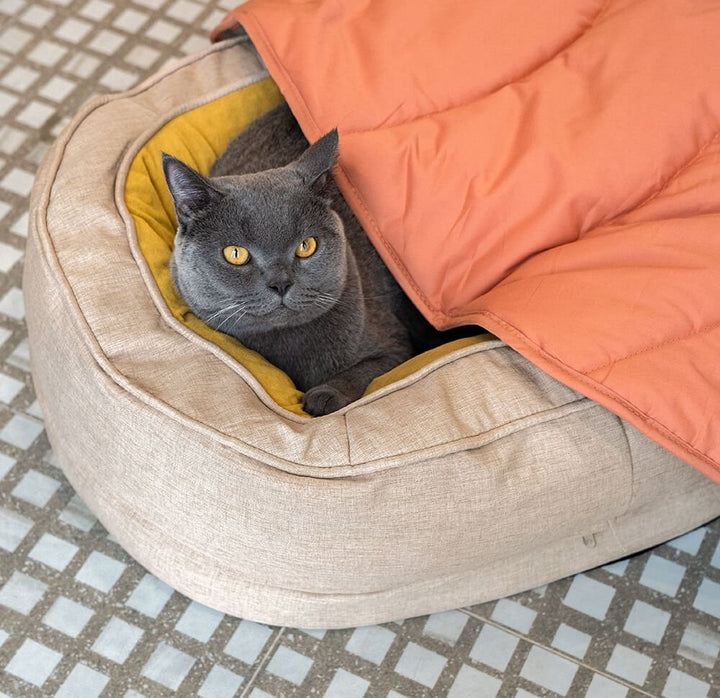 Orthopedic Donut Dog Bed with Anti - Slip and Waterproof Features - Lexians
