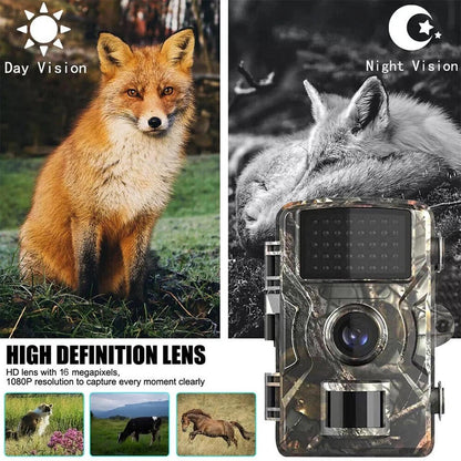 "Outdoor night vision wildlife trail camera capturing nocturnal wildlife with 16MP photos and HD videos in rugged terrain."