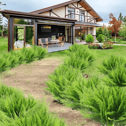 Outdoor UV Resistant Artificial Boston Fern - Lexians