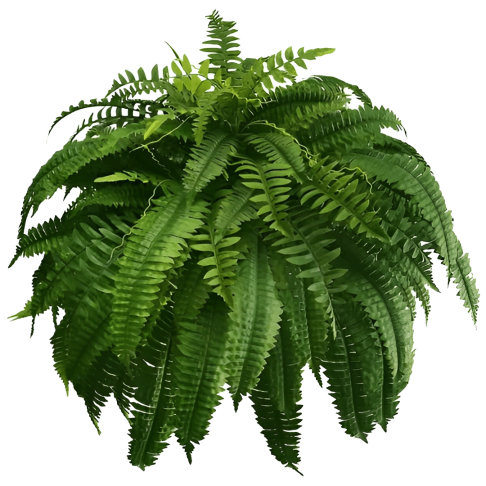 Outdoor UV Resistant Artificial Boston Fern - Lexians