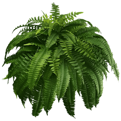 Outdoor UV Resistant Artificial Boston Fern - Lexians