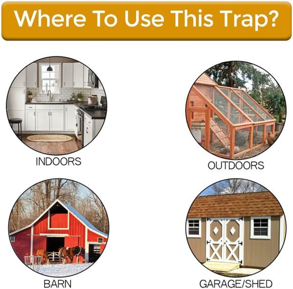 Pet - Friendly Flip N Slide Mouse Trap for Home Use - Lexians