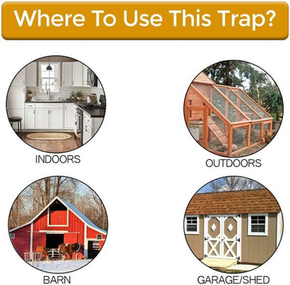 Pet - Friendly Flip N Slide Mouse Trap for Home Use - Lexians