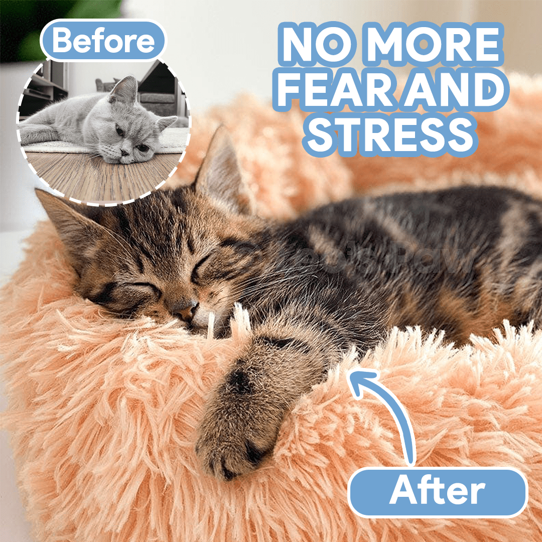 Plush Calming Cat Bed for Ultimate Feline Comfort - Lexians