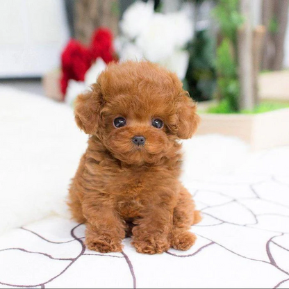Realistic plush puppy toy with lifelike details and soft fur in beige; perfect for kids and adults dog lovers.