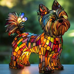 Yorkshire Terrier Type B
