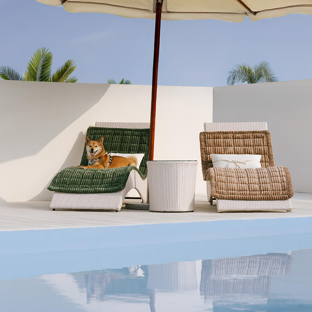 Soft Flannel Non - slip Pet Couch Cover for All Furniture Sizes - Lexians