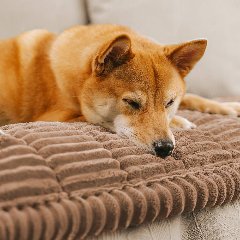 Soft Flannel Non - slip Pet Couch Cover for All Furniture Sizes - Lexians