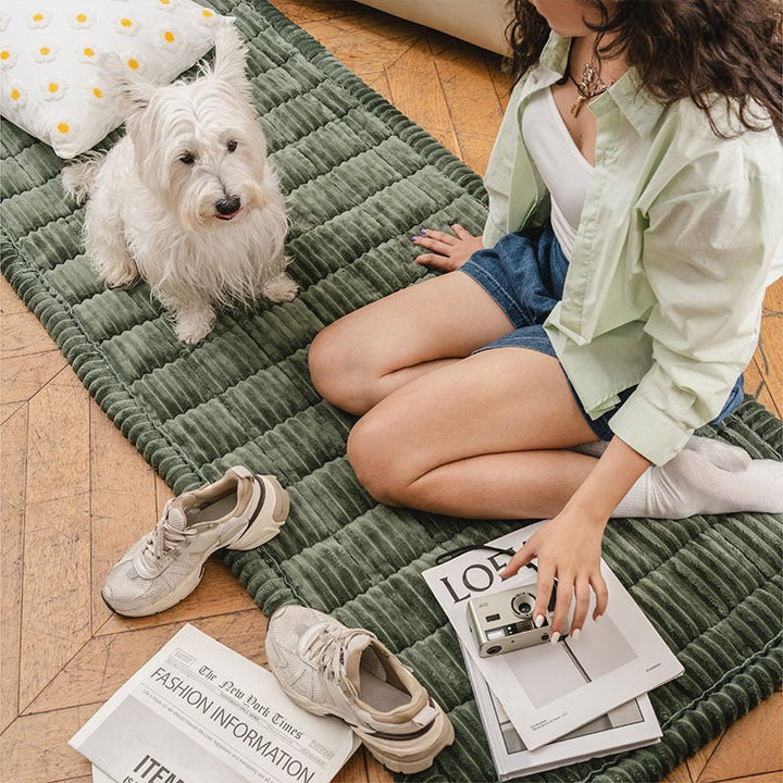 Soft Flannel Non - slip Pet Couch Cover for All Furniture Sizes - Lexians