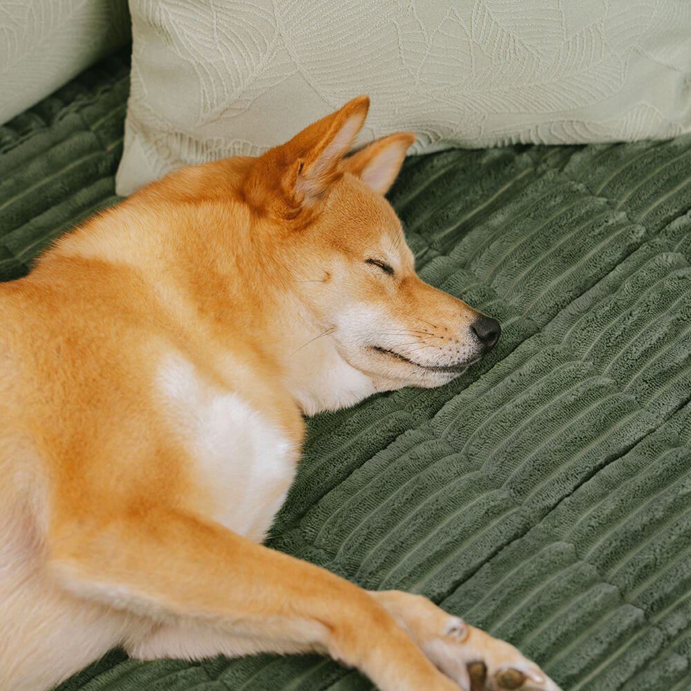 Soft Flannel Non - slip Pet Couch Cover for All Furniture Sizes - Lexians