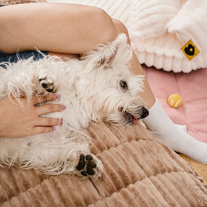 Soft Flannel Non - slip Pet Couch Cover for All Furniture Sizes - Lexians