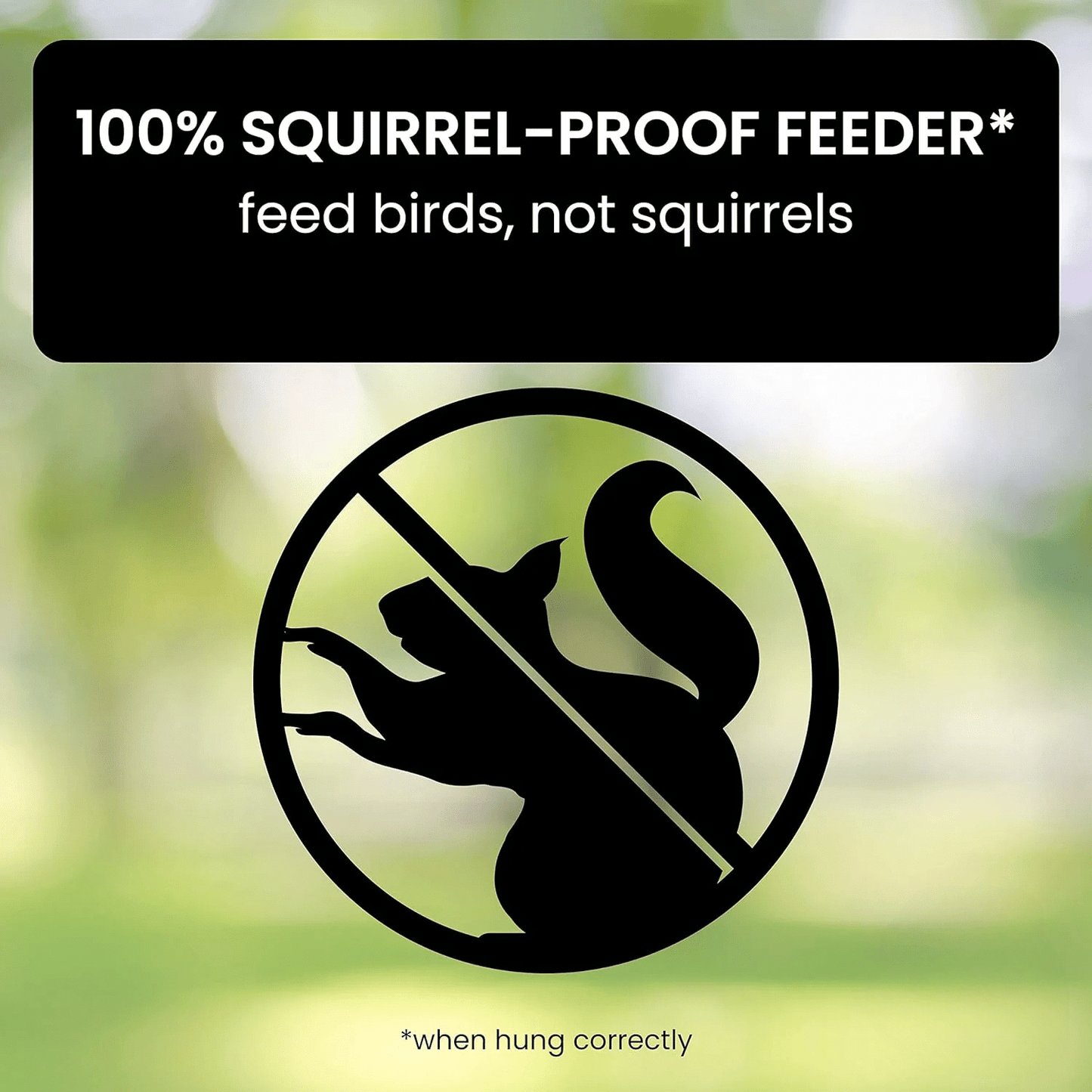 Squirrel Proof Bird Feeder with Anti - Squirrel Design - Lexians
