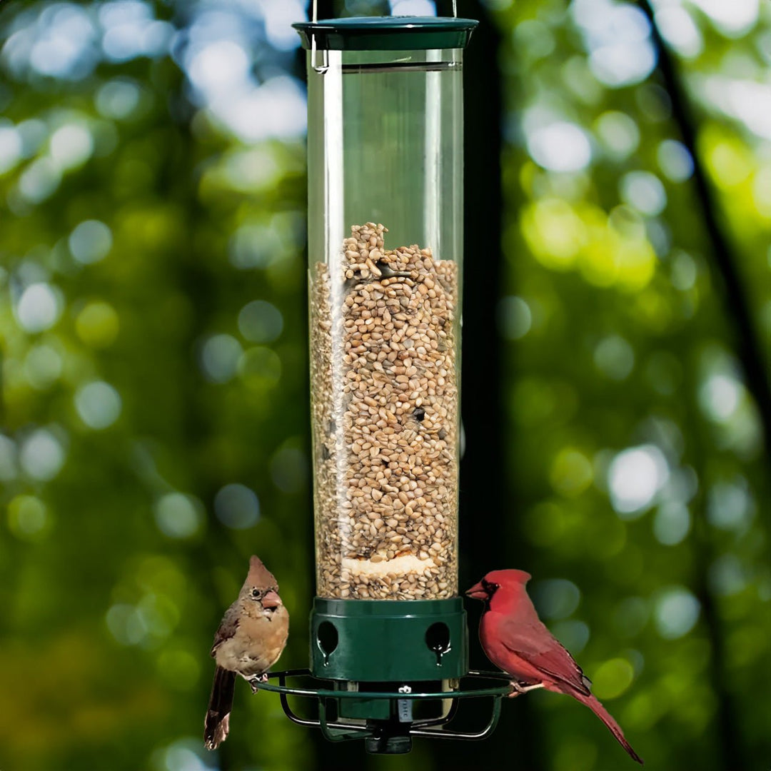 Squirrel Proof Bird Feeder with Anti - Squirrel Design - Lexians